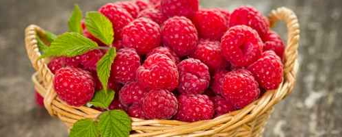 Himbeeren