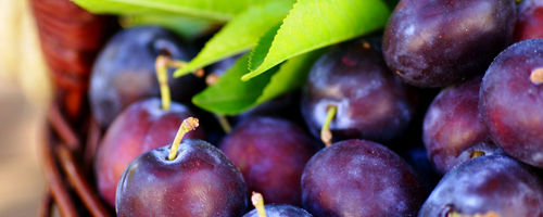 Zwetschgen