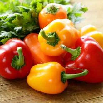 Wagners Obst und Gemse e.K. - Sortiment Gemse