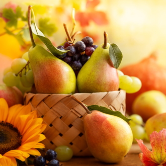 WAGNERs Obst & Gemse e.K., Gro- und Einzelhandel - Kruter, Gewrze, Sfte,  Weienburger Strae 48, 81667 Mnchen - Haidhausen - Aktuelles - pfel Birnen Trauben Feigen Krbis